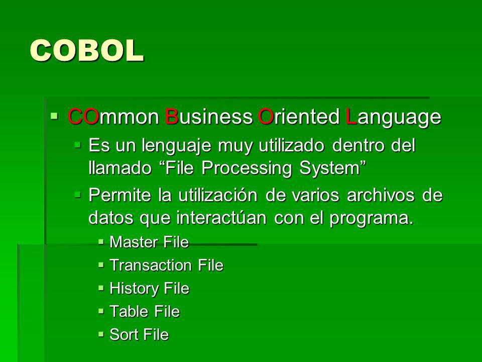 cobol go for delegate data file status cobol select allocate file status